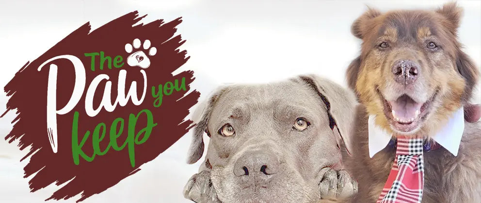 Home page - PAWentura