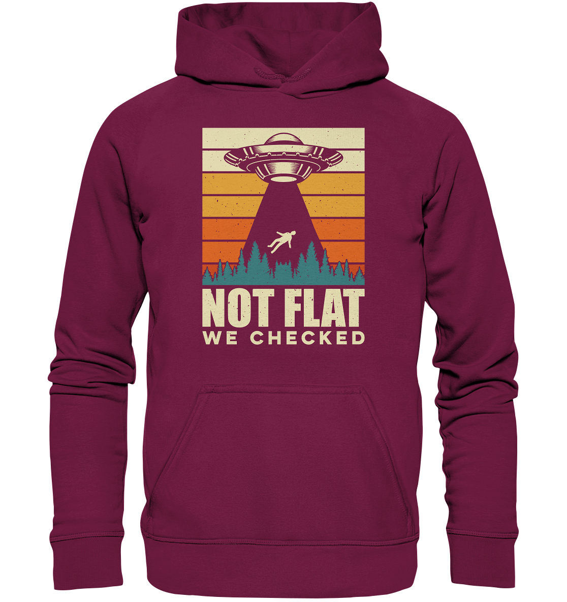 Erde - Not Flat we checked  - Basic Unisex Hoodie